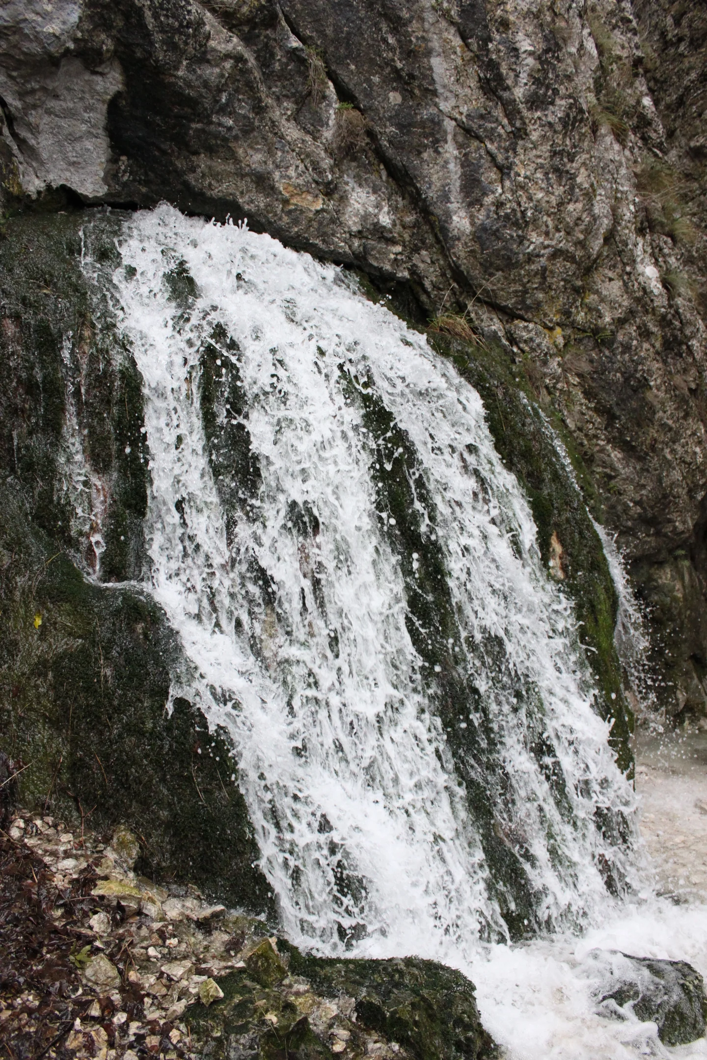 Gorghe spring (Monte Cucco - Umbria region - Italy)