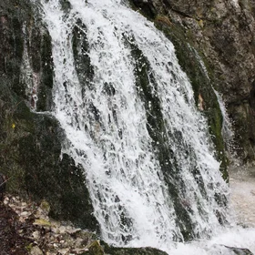 Gorghe spring (Monte Cucco - Umbria region - Italy)