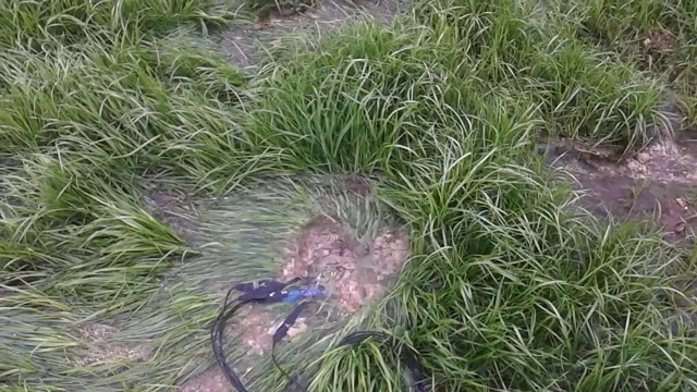 Torbidone spring (Norcia - Central Apennine -Italy)