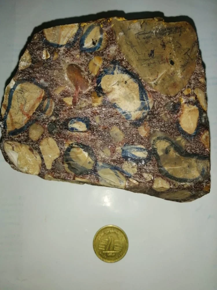 Ortho-Conglomerate (Sedimentary Clastic Rock)