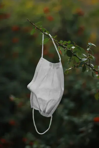 A Summary of Nature in 2020