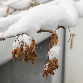 White Deafening Silence: An Inspiring End to an Uninspiring Year