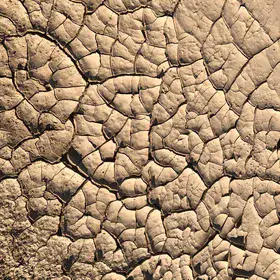 Mud Cracks Attractive Outcrop