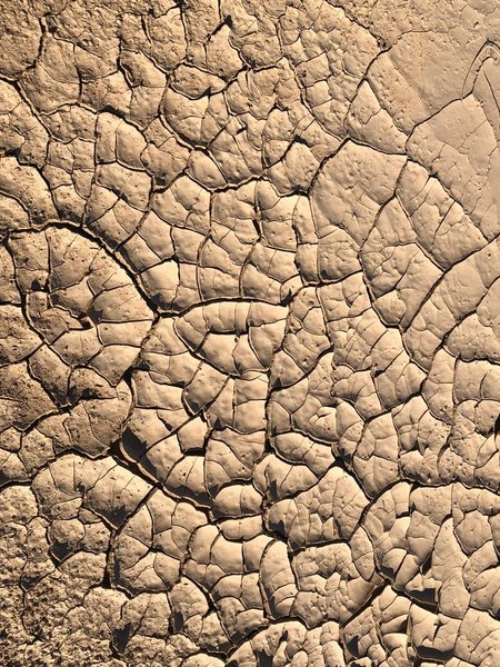 Mud Cracks Attractive Outcrop