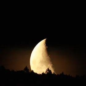 Moonset -- craters and forest
