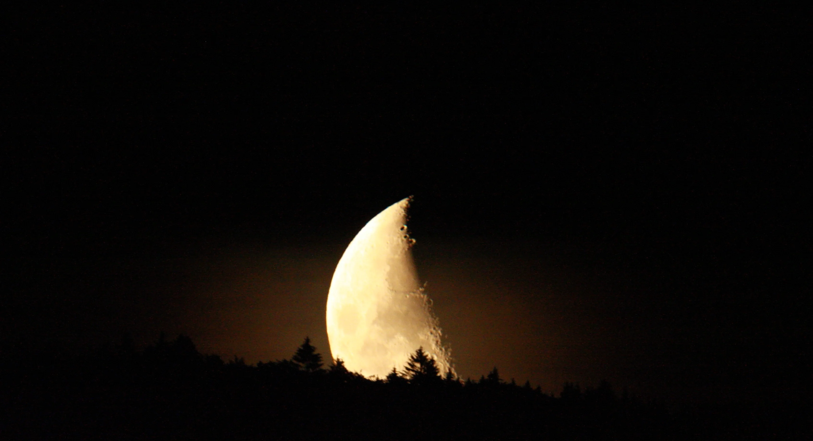 Moonset -- craters and forest