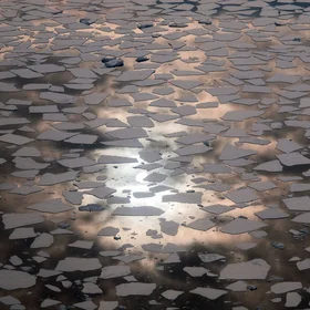 Sea ice in Marguerite Bay, Antarctica