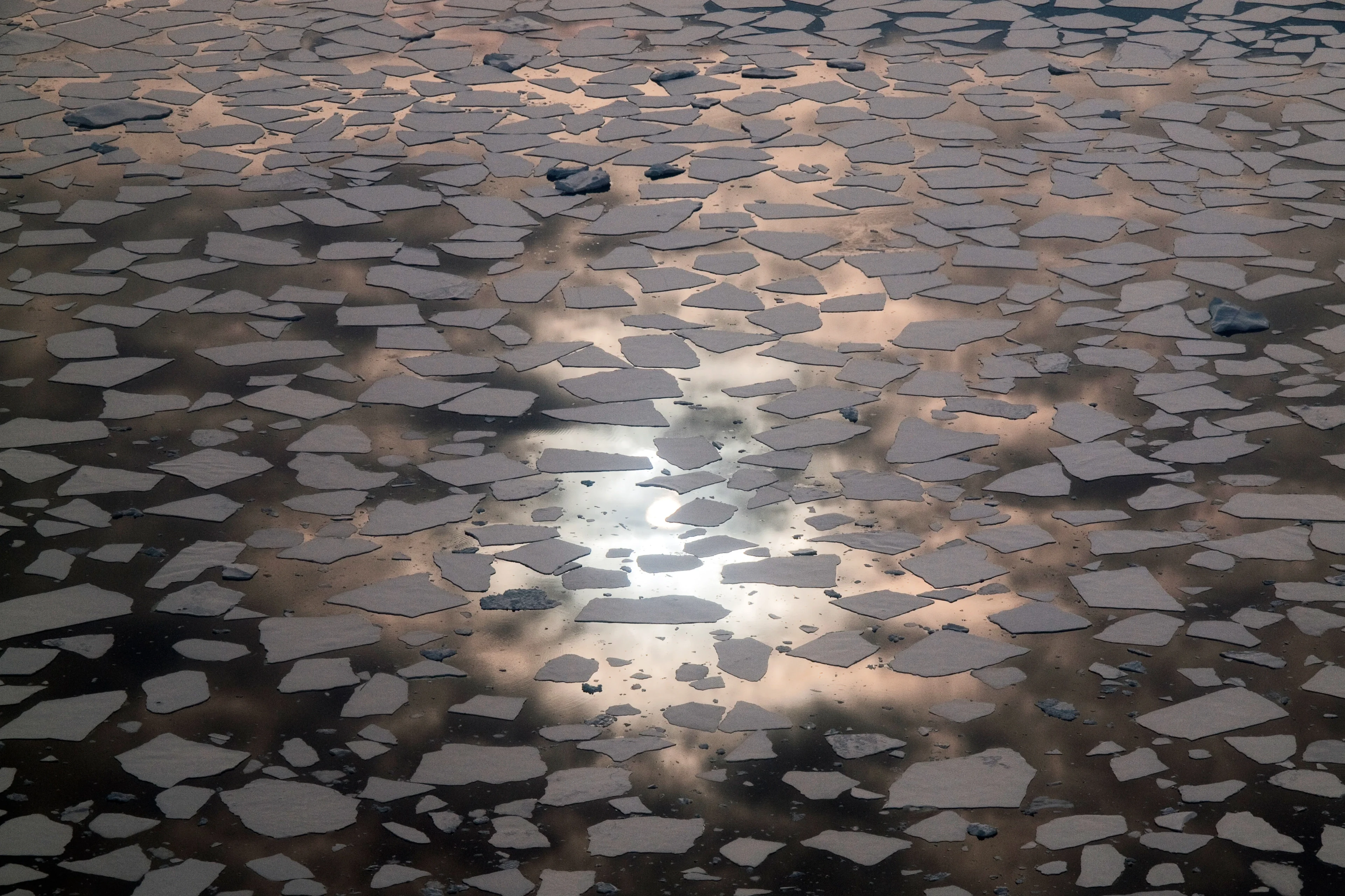 Sea ice in Marguerite Bay, Antarctica