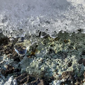 Unfrozen in time - a droplet of melt forms and hangs.
