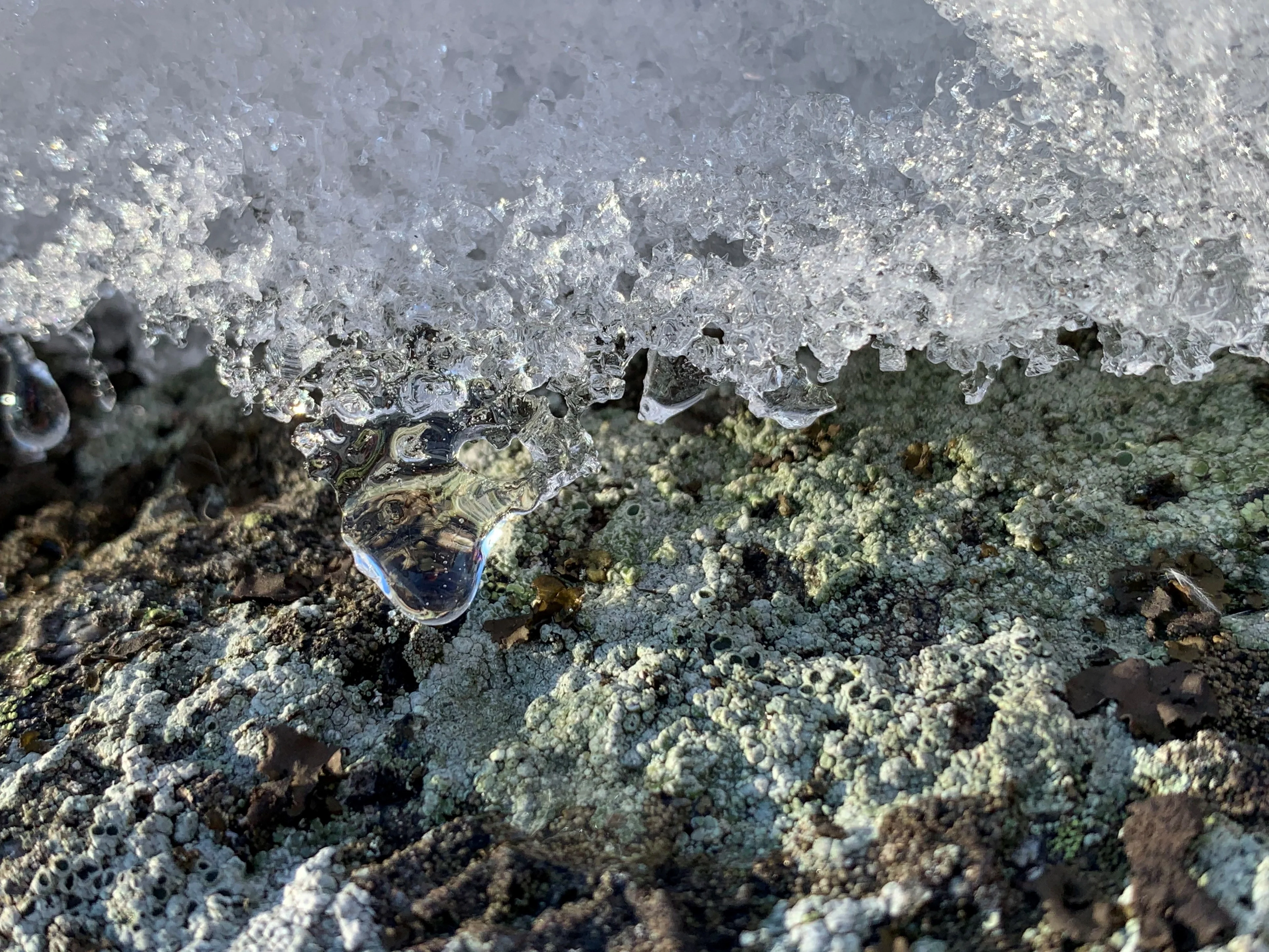 Unfrozen in time - a droplet of melt forms and hangs.