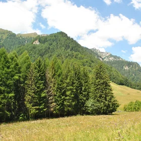 Stâna regală - royal place in Sinaia