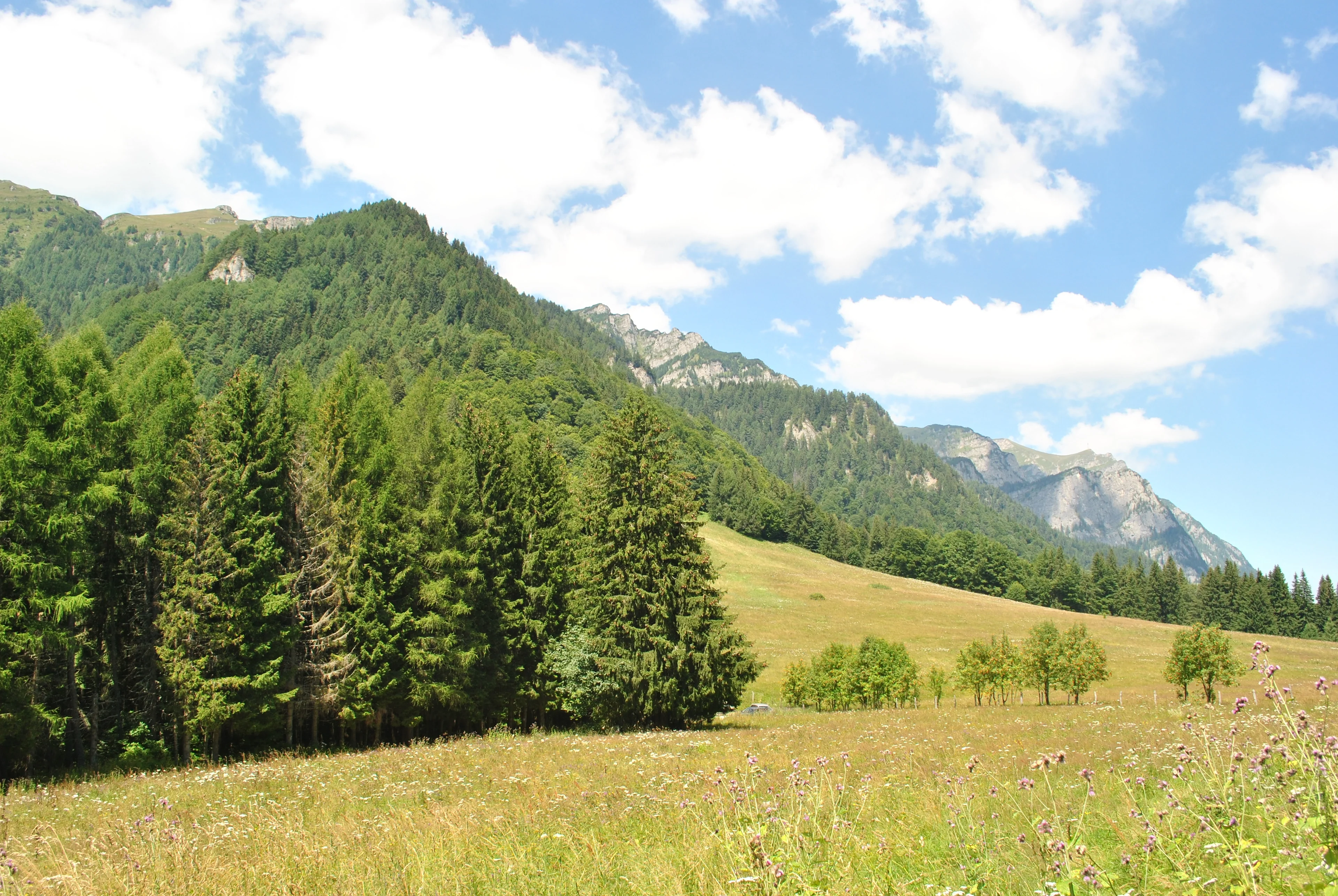 Stâna regală - royal place in Sinaia