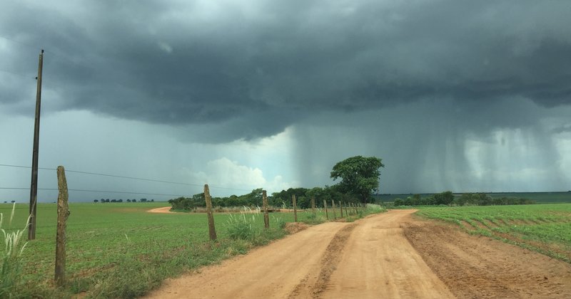 Tropical rainfall in the Brazilian Cerrado
