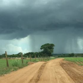 Tropical rainfall in the Brazilian Cerrado