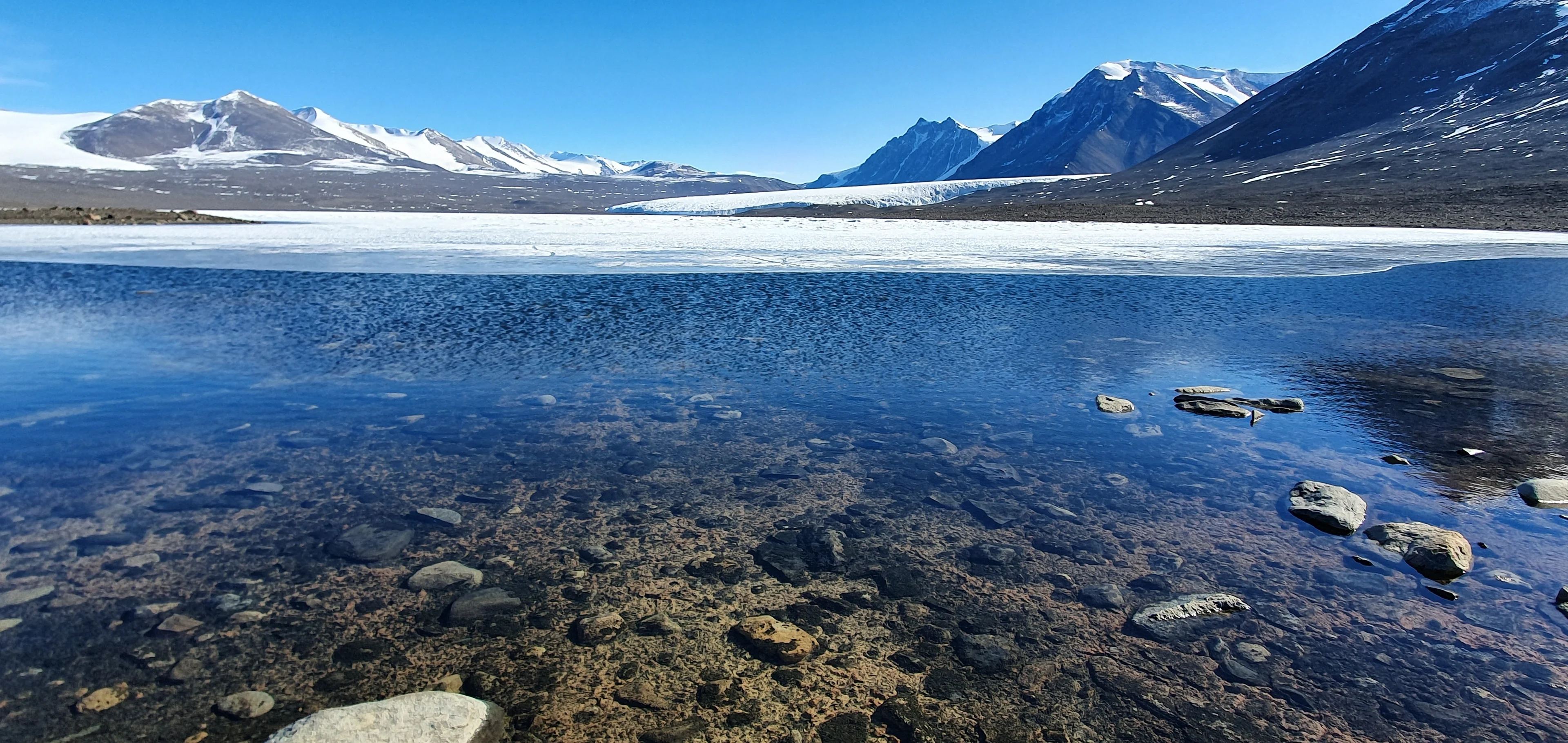 A melting planet. How much does Antarctic affect?