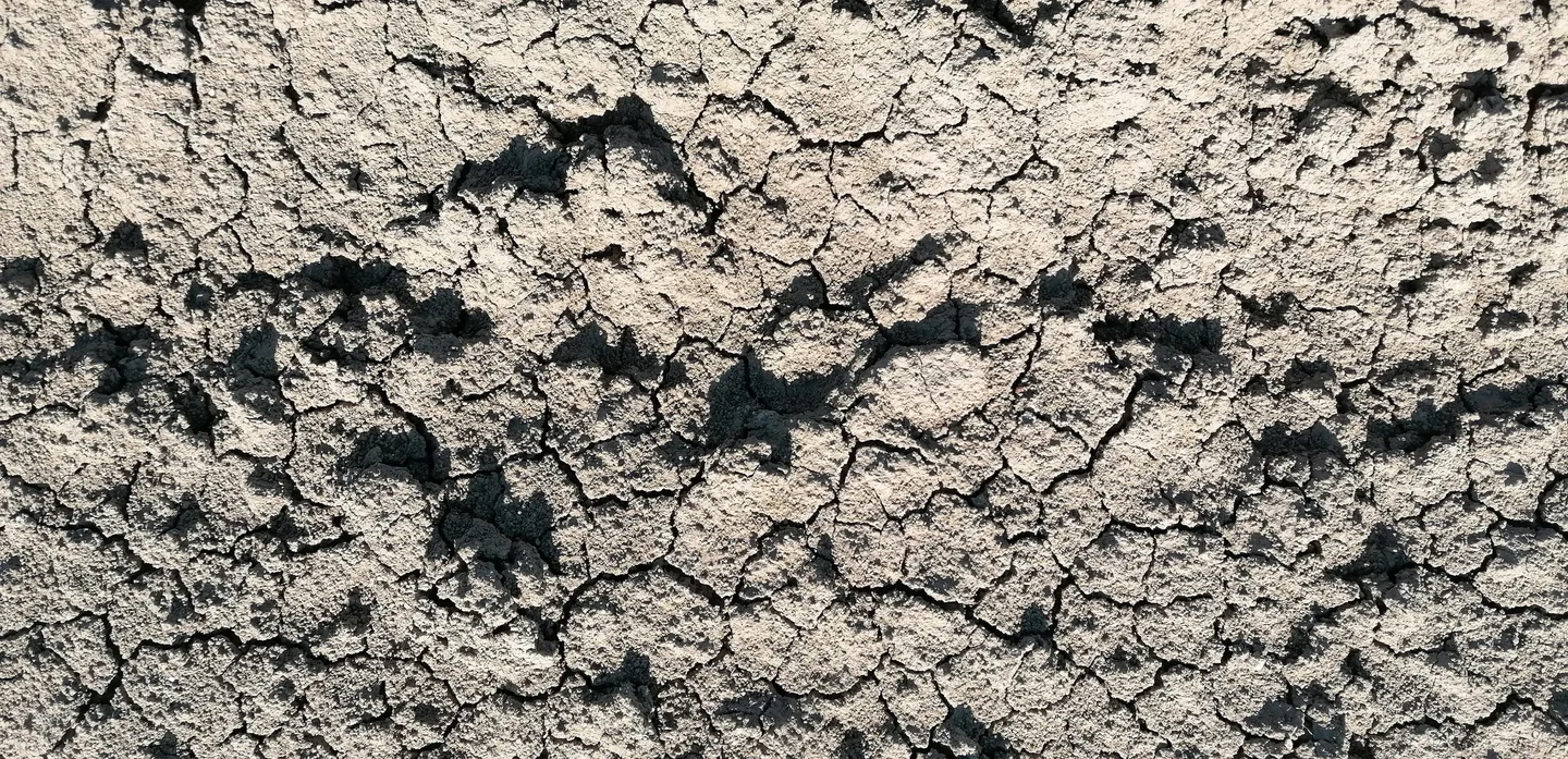 Sealed soil surface in a farmed area