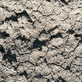Sealed soil surface in a farmed area