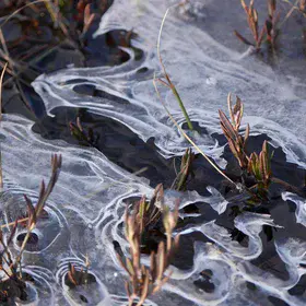 Spring unveils swamp ice art