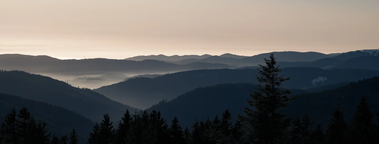 Shades of the Black Forest