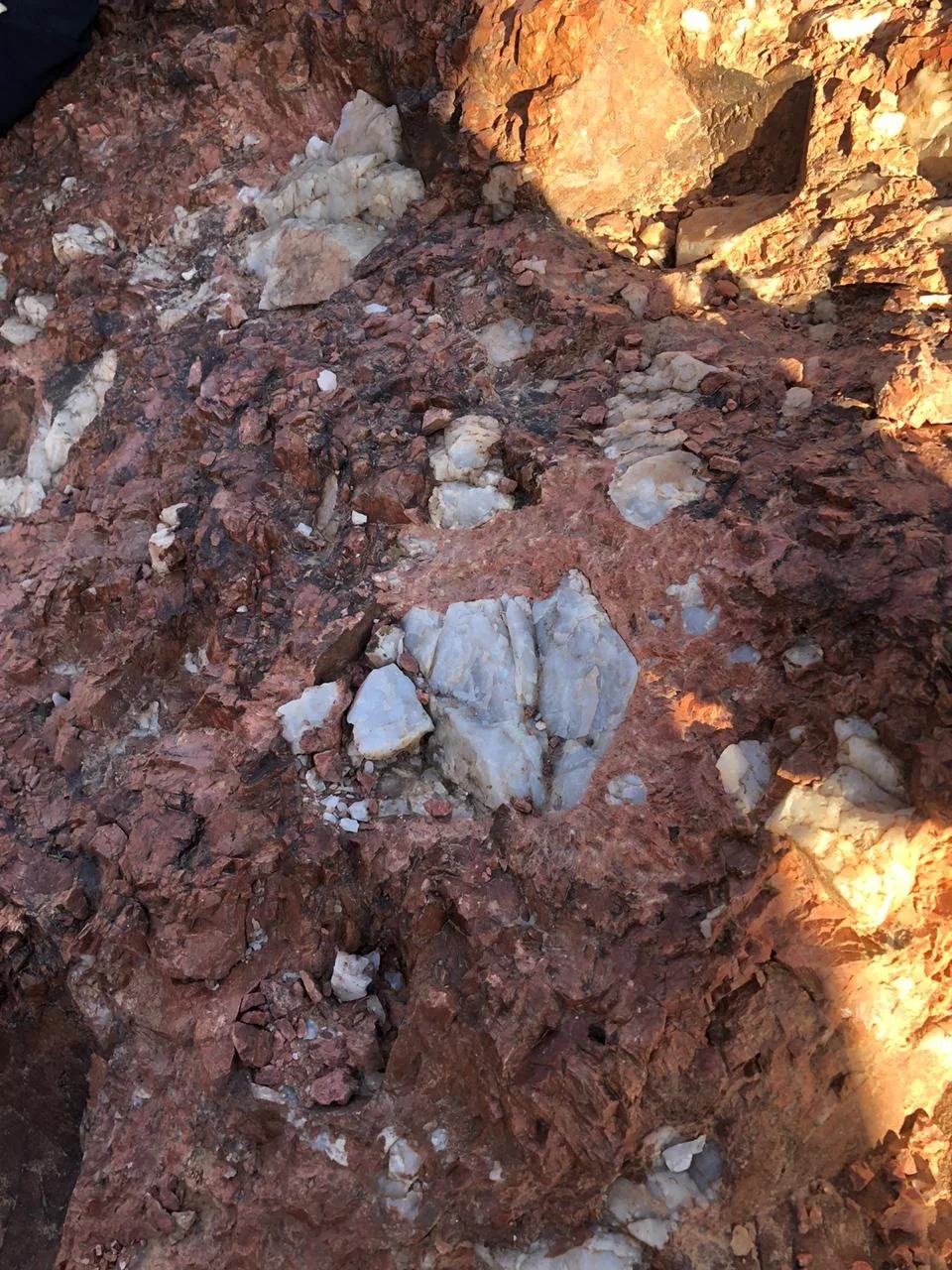Outcrop of Quartz Migmatite