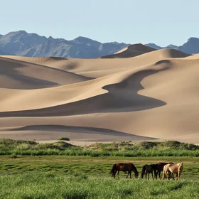 The dunes of Khongoryn Els
