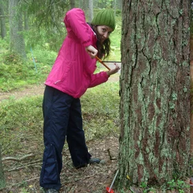 Tree ring chronicles
