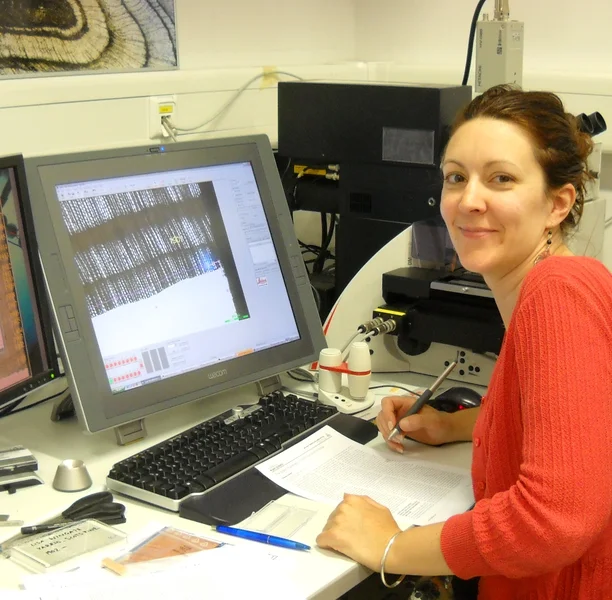 Precision cutting of tree ring cells using laser scissors