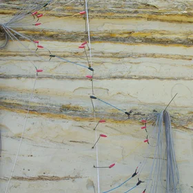 Electrical tomography tree