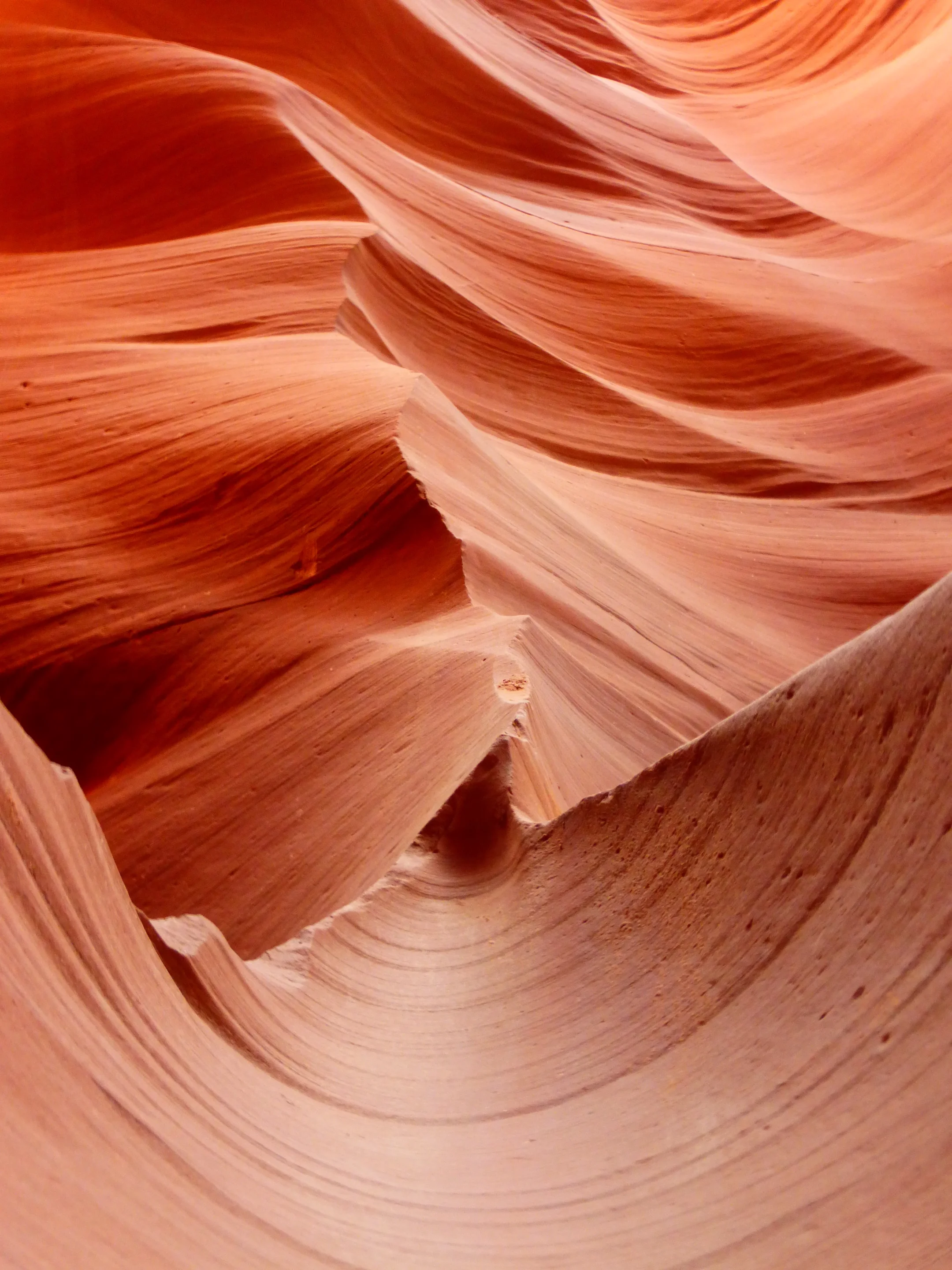 Canyon wall sculpted by erosion