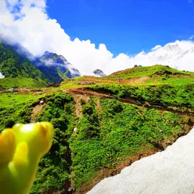 Kedarnath: Door to heaven
