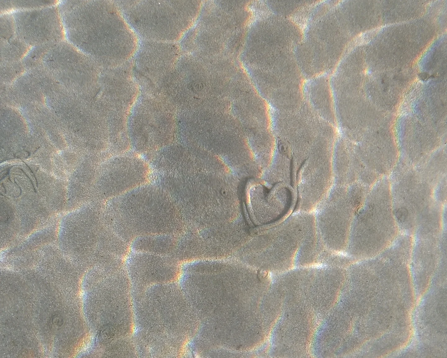 From a lugworm with love