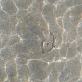 From a lugworm with love