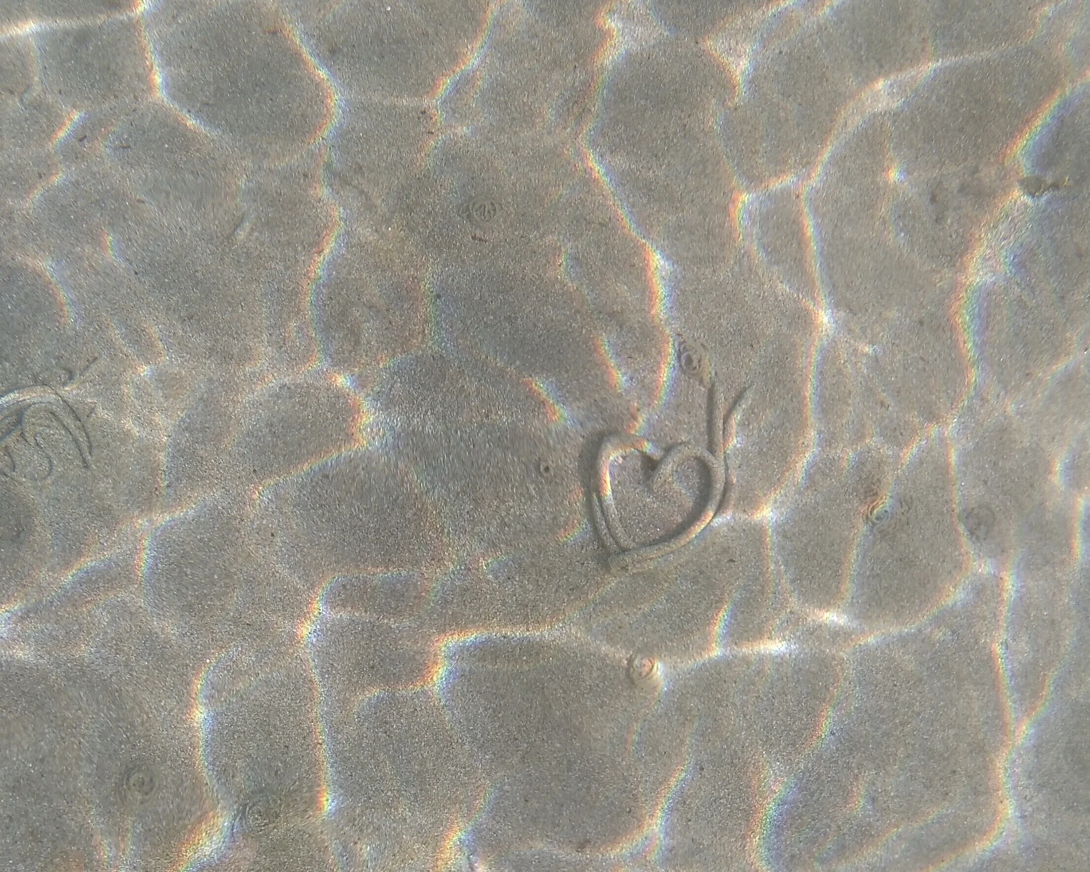From a lugworm with love