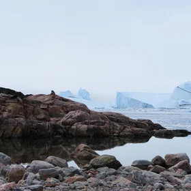 Reflections at Kuuniataaq II