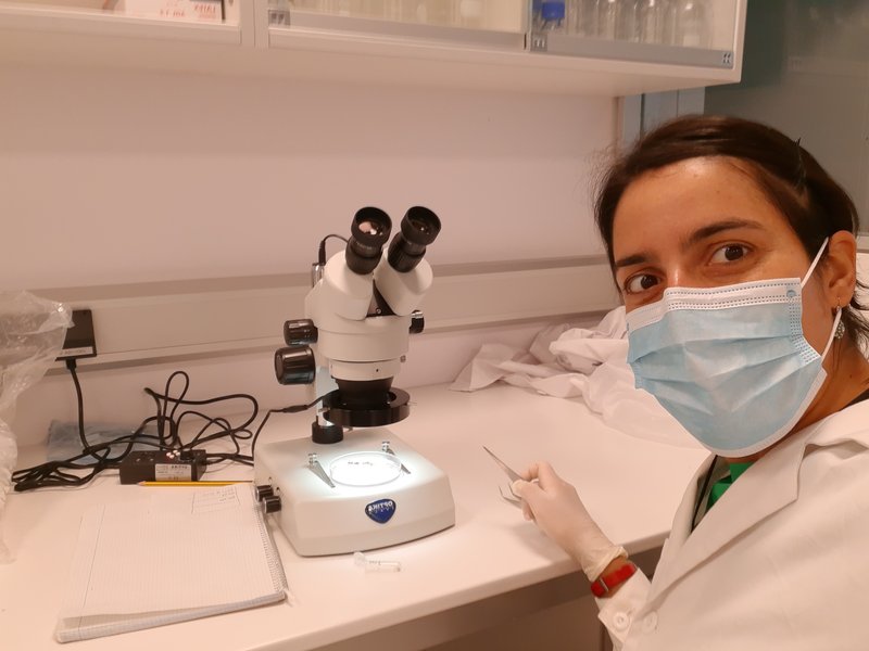 Mycorrhiza, where are you?