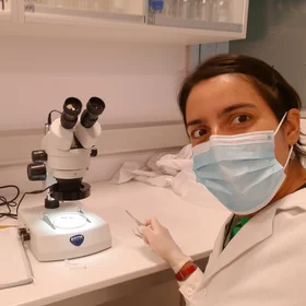Mycorrhiza, where are you?