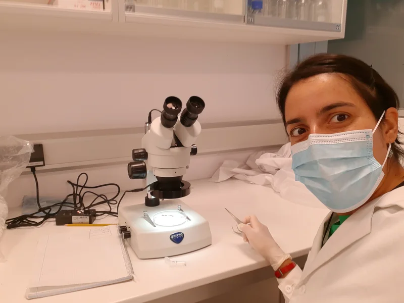 Mycorrhiza, where are you?