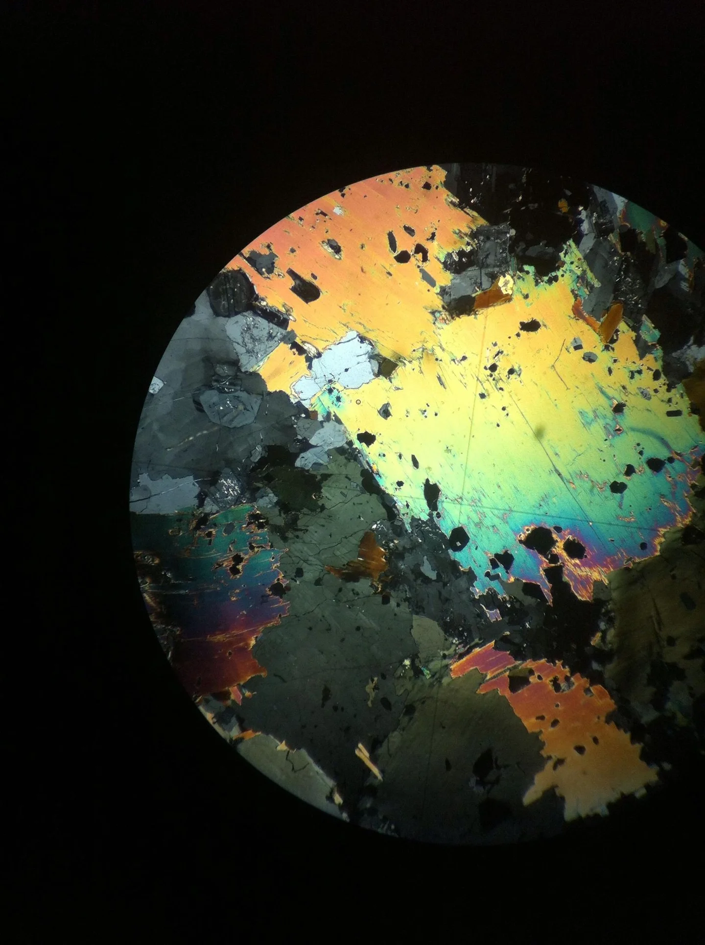 World under the microscope