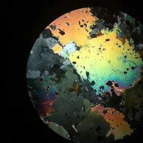 World under the microscope