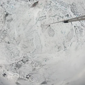 An ice floe called home
