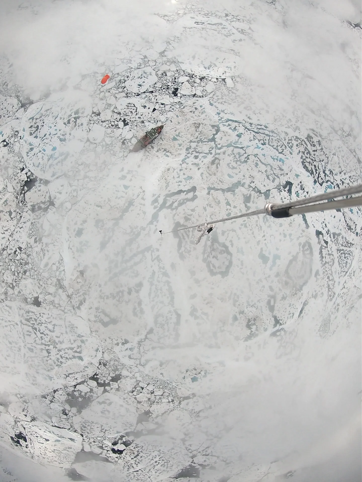 An ice floe called home