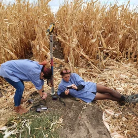 Soil moisture measurements in the fields of gold