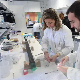 Paleoclimate multiproxy approach in the lab