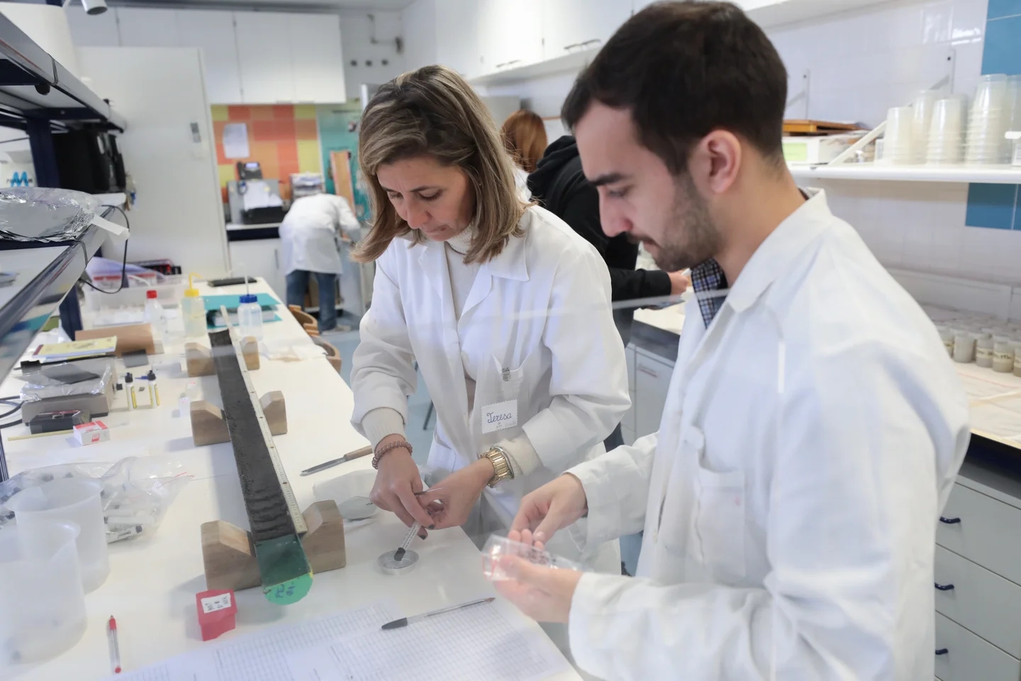 Paleoclimate multiproxy approach in the lab