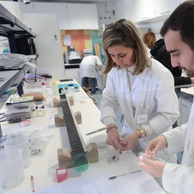 Paleoclimate multiproxy approach in the lab