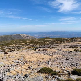 Serra da Estrela UNESCO geopark