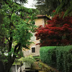 ° The Not-So-Secret Garden °