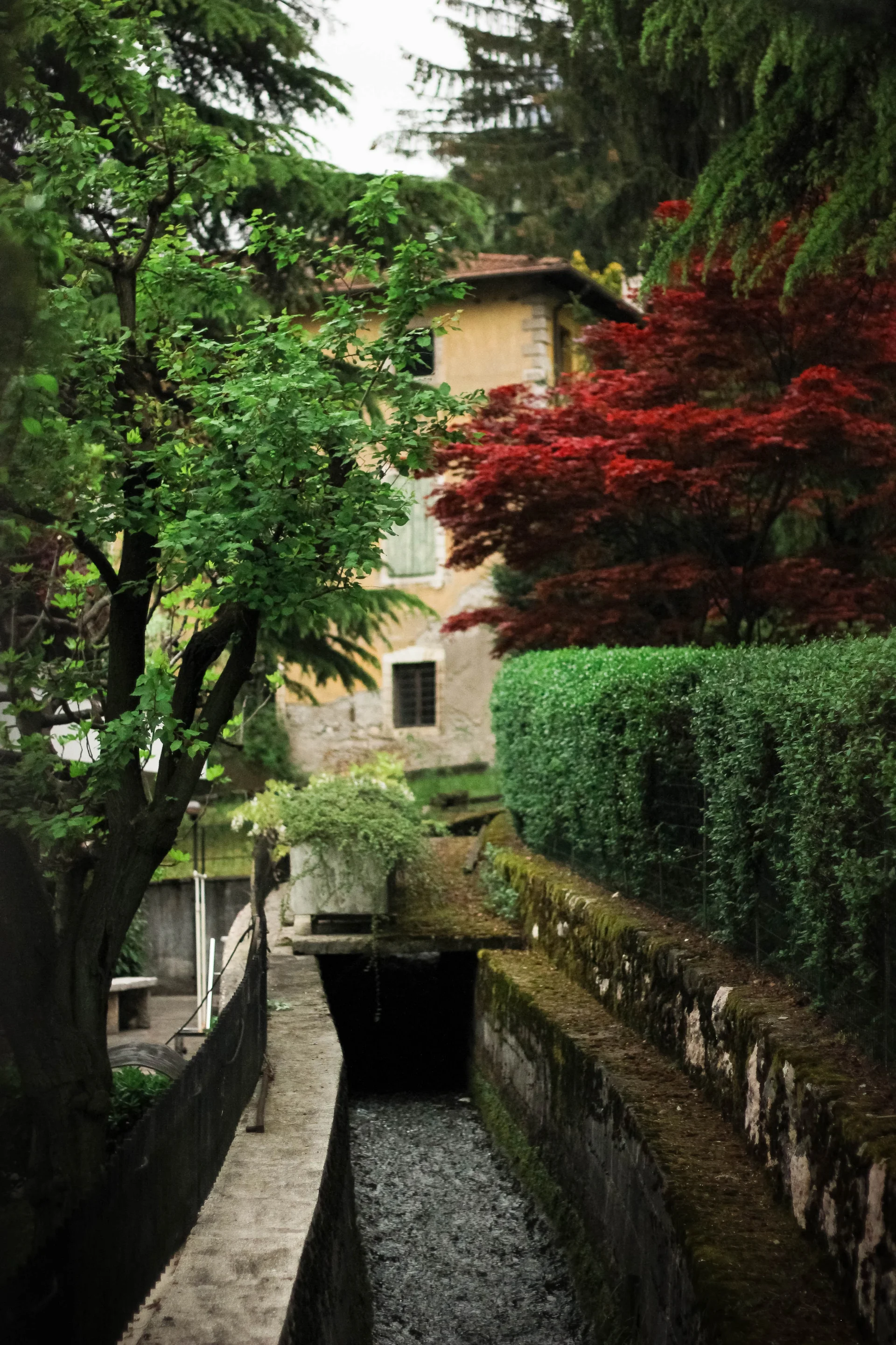 ° The Not-So-Secret Garden °