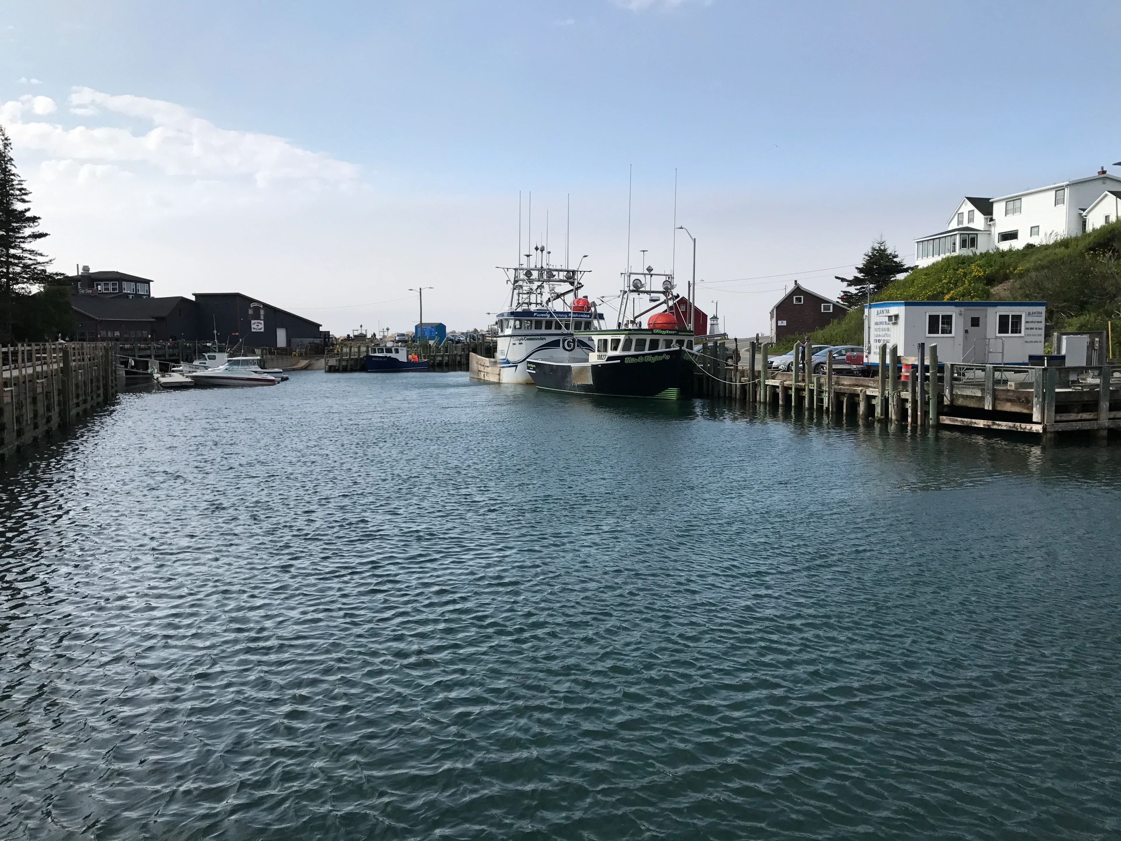 Tidal changes Halls Harbour
