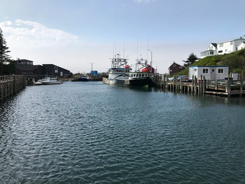 Tidal changes Halls Harbour